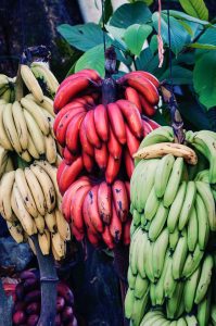 Odrody bananov